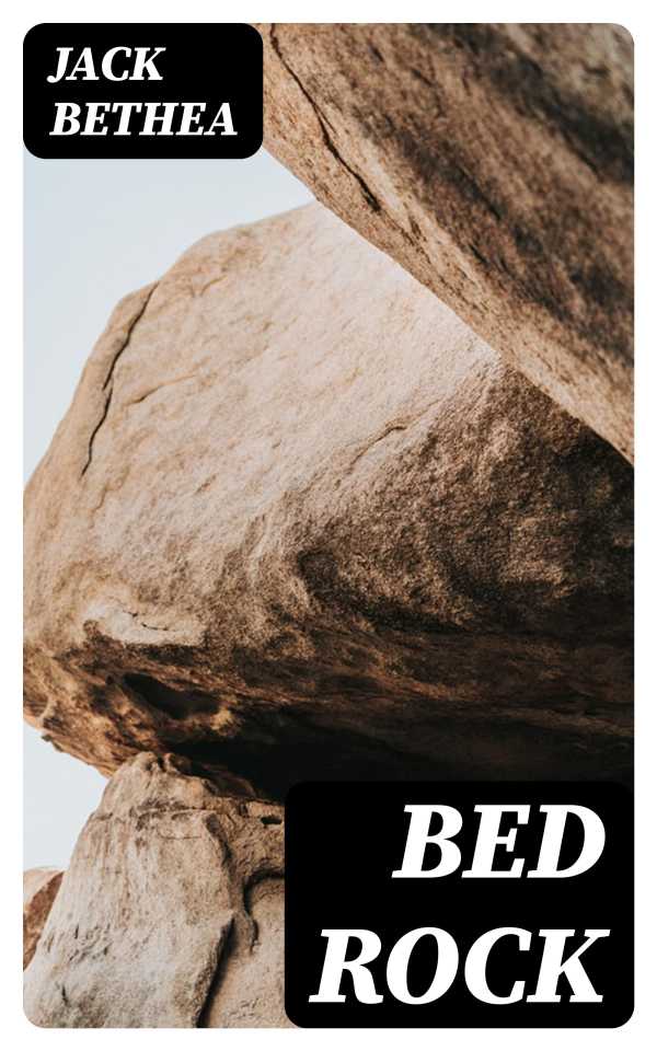 bw-bed-rock-digicat-8596547186885