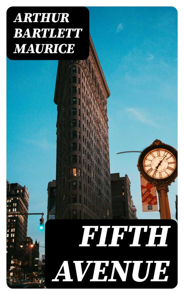 bw-fifth-avenue-digicat-8596547234319