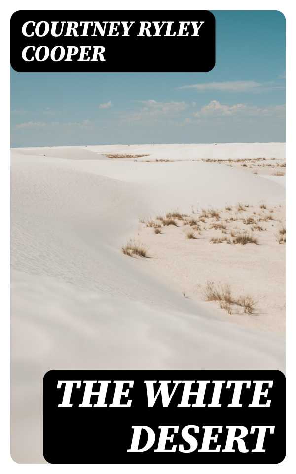 bw-the-white-desert-digicat-8596547208709