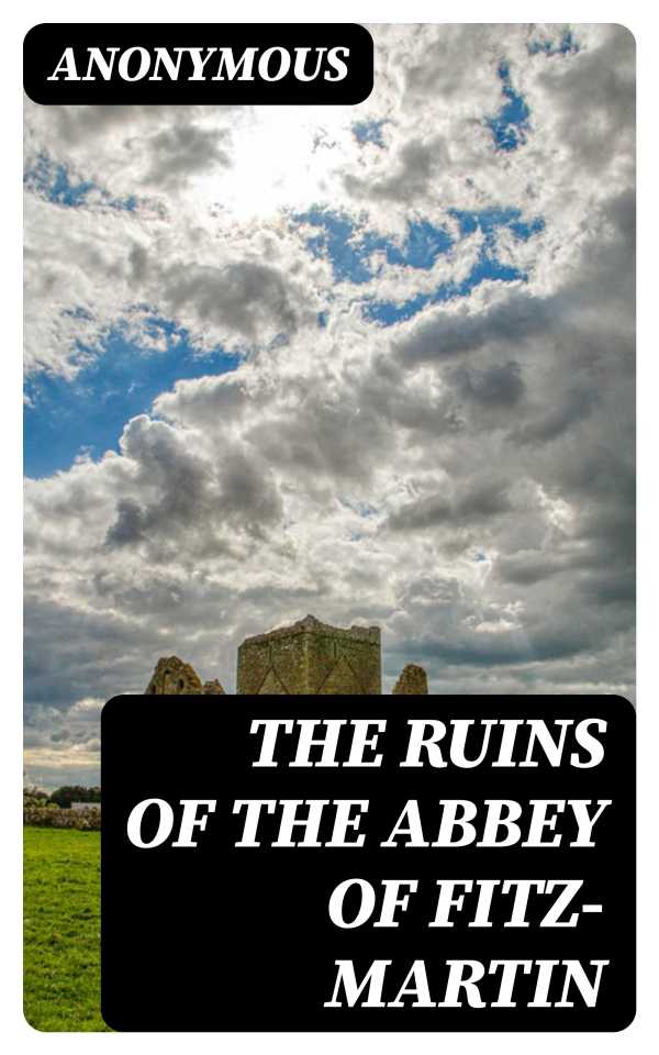 bw-the-ruins-of-the-abbey-of-fitzmartin-digicat-8596547406600