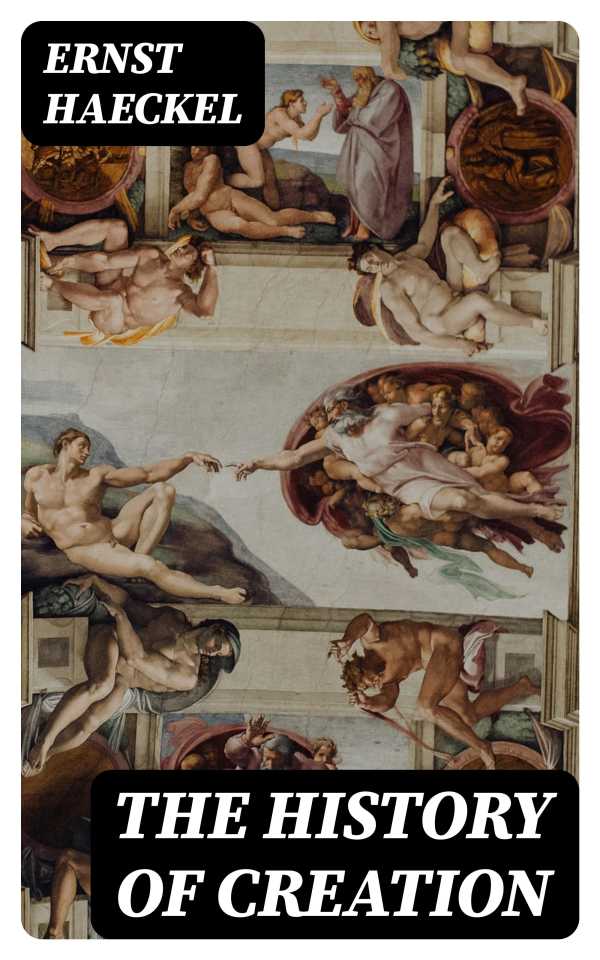 bw-the-history-of-creation-digicat-8596547403593