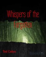 bw-whispers-of-the-forgotten-bookrix-9783755466789