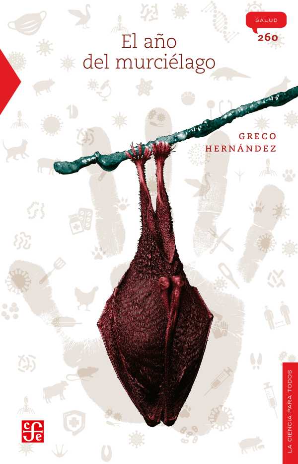 bw-el-antildeo-del-murcieacutelago-fondo-de-cultura-econmica-9786071678492
