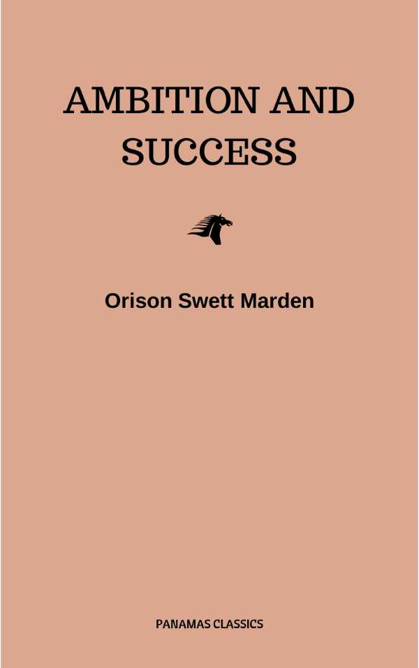 bw-ambition-and-success-cded-9782291058397