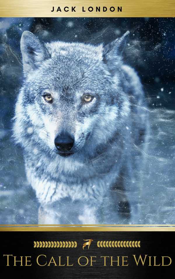 bw-the-call-of-the-wild-oregan-publishing-9782291046295