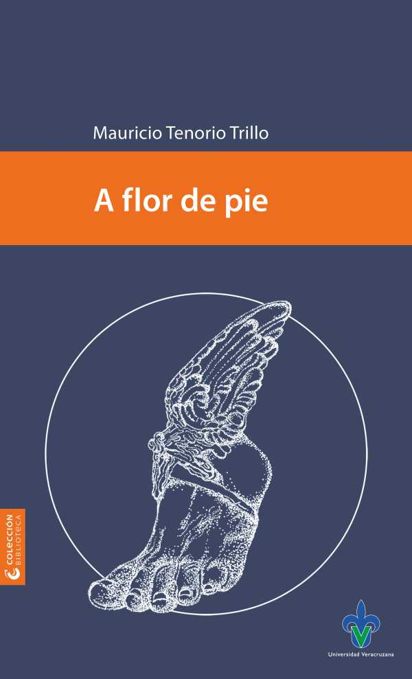 bw-a-flor-de-pie-universidad-veracruzana-9786078923342