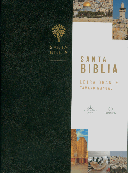Santa biblia