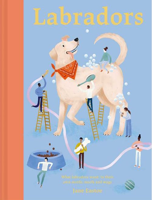 Labradors