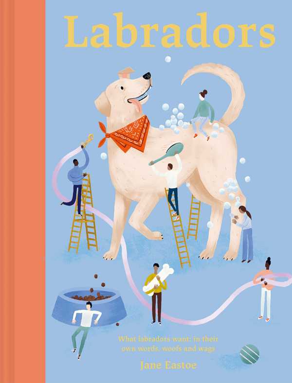 bw-labradors-batsford-9781849948517