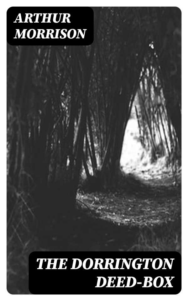 bw-the-dorrington-deedbox-digicat-8596547371045