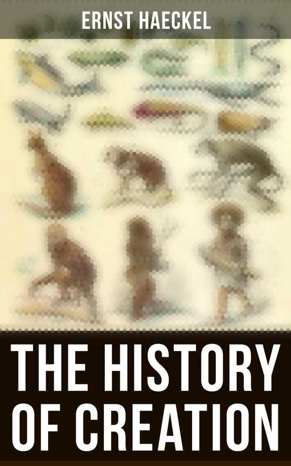bw-the-history-of-creation-musaicum-books-4064066397173