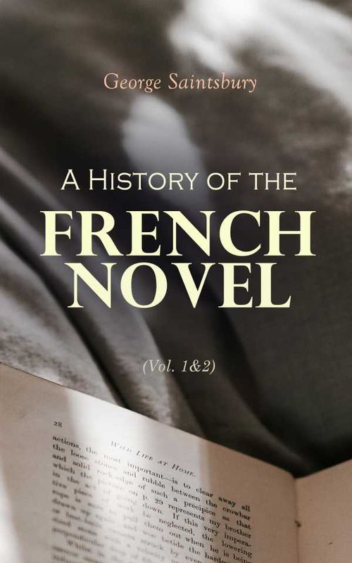 A History of the French Novel Vol 12
