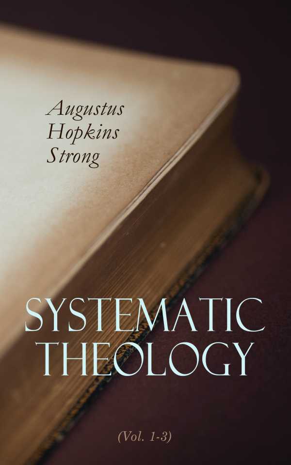 bw-systematic-theology-vol-13-eartnow-4064066389628