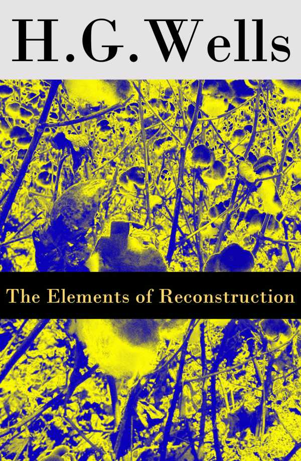 bw-the-elements-of-reconstruction-the-original-unabridged-edition-eartnow-9788074848896