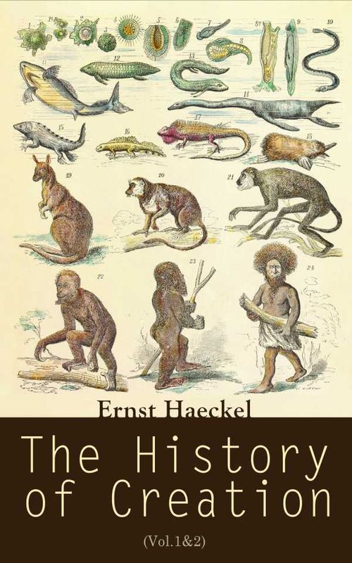 The History of Creation Vol12