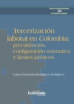 bw-tercerizacioacuten-laboral-en-colombia-precarizacioacuten-configuracioacuten-normativa-y-liacutemites-juriacutedicos-u-externado-de-colombia-9789585060753