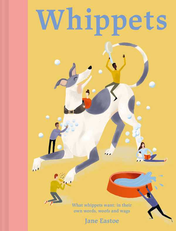 bw-whippets-batsford-9781849948524