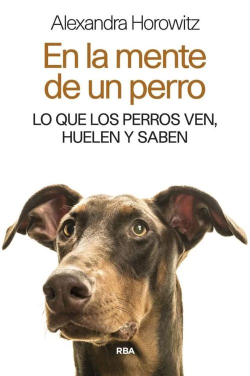 En la mente de un perro