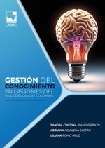 bw-gestioacuten-del-conocimiento-en-pymes-del-valle-del-cauca-ndash-colombia-u-del-valle-9786287617964