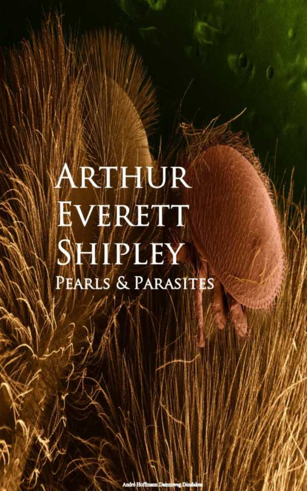 bw-pearls-and-parasites-anboco-9783736416192