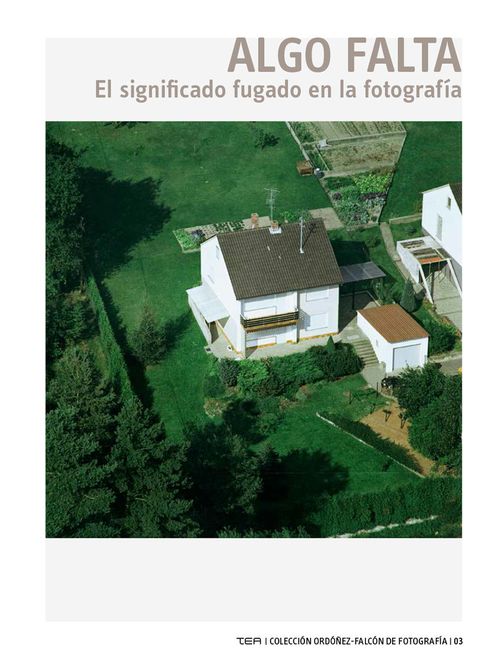 ALGO FALTA EL SIGNIFICADO FUGADO EN LA FOTOGRAFIA