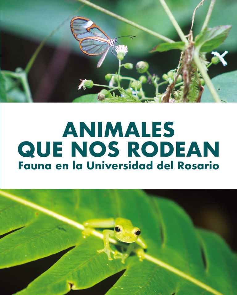 animales-que-nos-rodean-9789585002944-uros