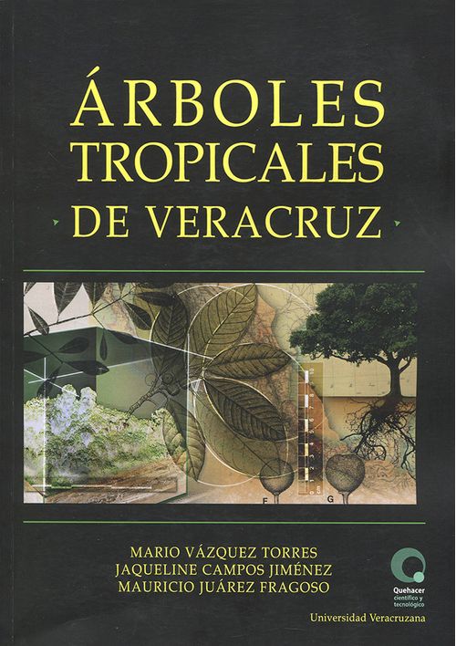 Árboles tropicales de Veracruz