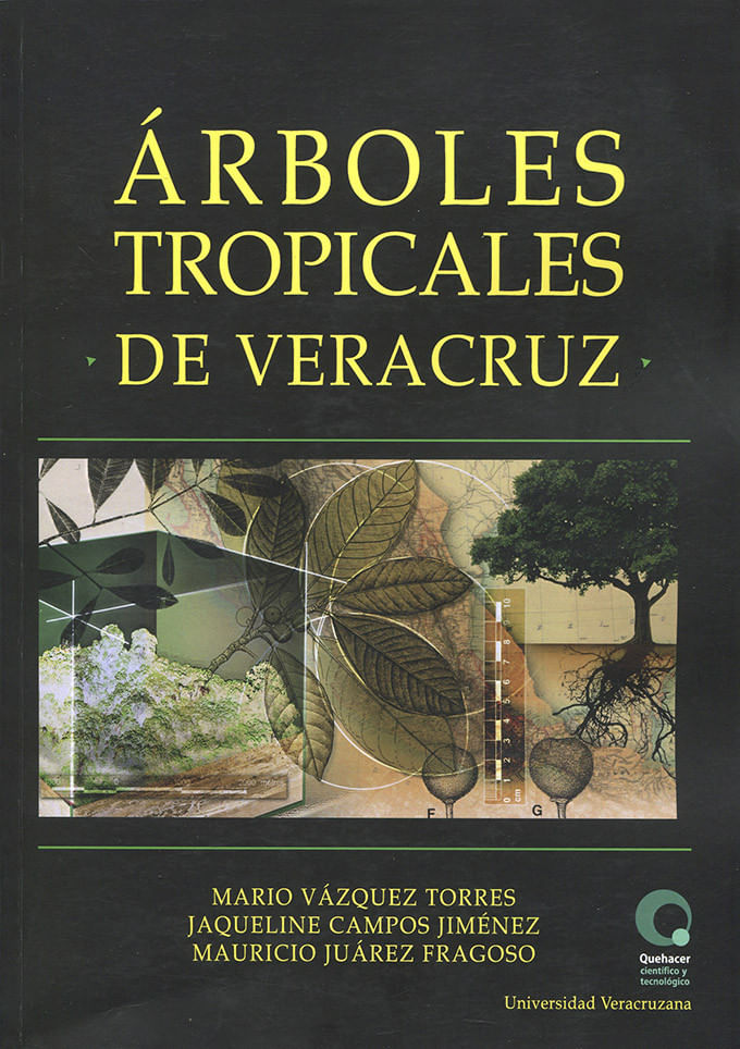 arboles-tropicales-de-veracruz-9786075025575-uvcz