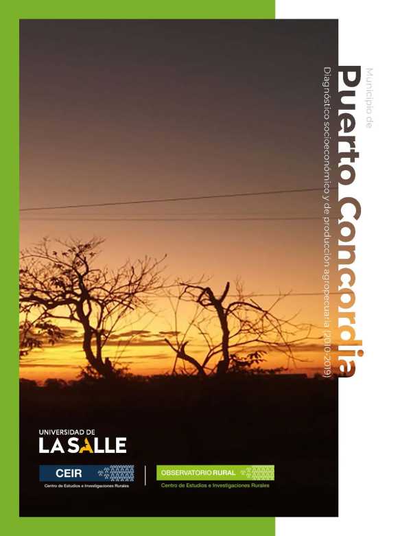 bw-municipio-de-puerto-concordia-meta-u-de-la-salle-9786287510890