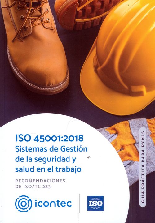 ISO 450012018 Sistemas de gestión  de la seguridad y salud en el trabajo