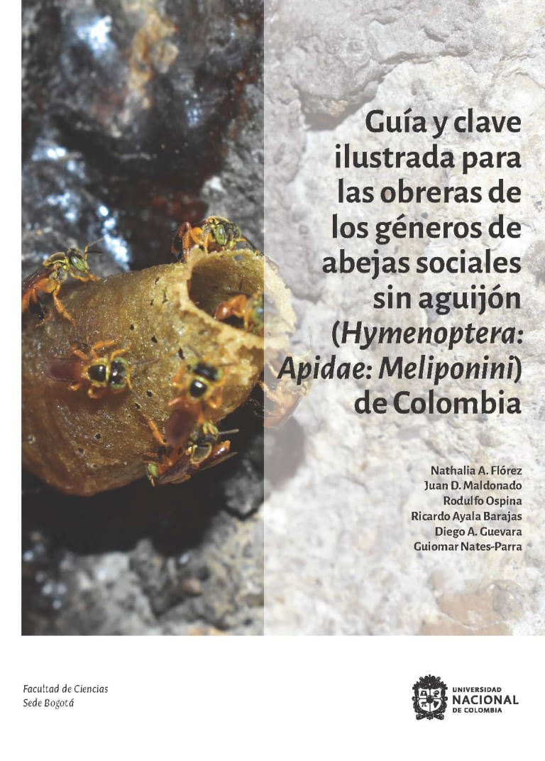 guia-y-clave-ilustrada-para-las-obreras-de-los-generos-de-abejas-sociales-sin-aguijon-hymenoptera-apidae-meliponini-de-colombia-9789585052451-unal