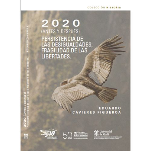 2020 ANTES Y DESPUES PERSISTENCIA DE LAS DESIGUALDADES FRAGILIDAD
