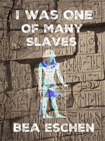 bw-i-was-one-of-many-slaves-epubli-9783750208568
