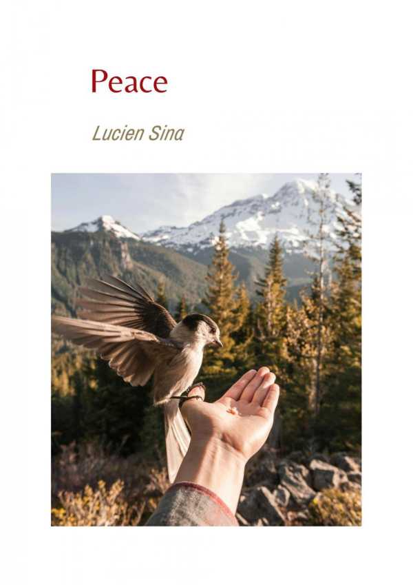 bw-peace-epubli-9783759857569