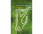 153_autogol_ssant