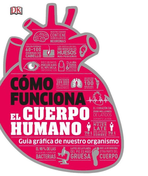 Cómo funciona el cuerpo humano