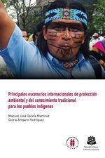 principales-escenarios-internacionales-de-proteccion-ambiental-y-del-conocimiento-tradicional-para-los-pueblos-indigenas-null-uros