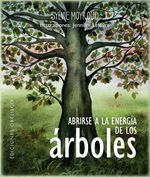 abrirse-a-la-energia-de-los-arboles