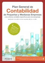 PLAN GENERAL DE CONTABILIDAD DE PEQUENAS Y MEDIANAS EMPRESAS