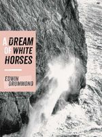 bw-a-dream-of-white-horses-vertebrate-digital-9781910240229