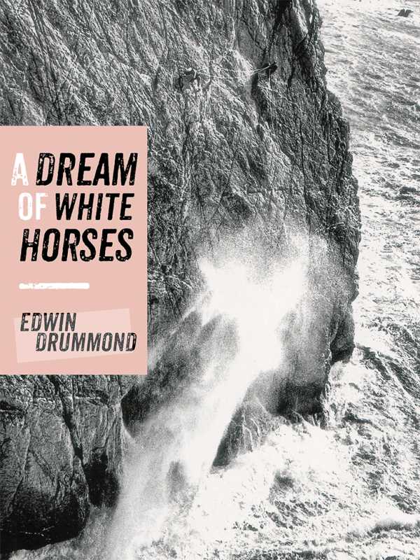 bw-a-dream-of-white-horses-vertebrate-digital-9781910240229