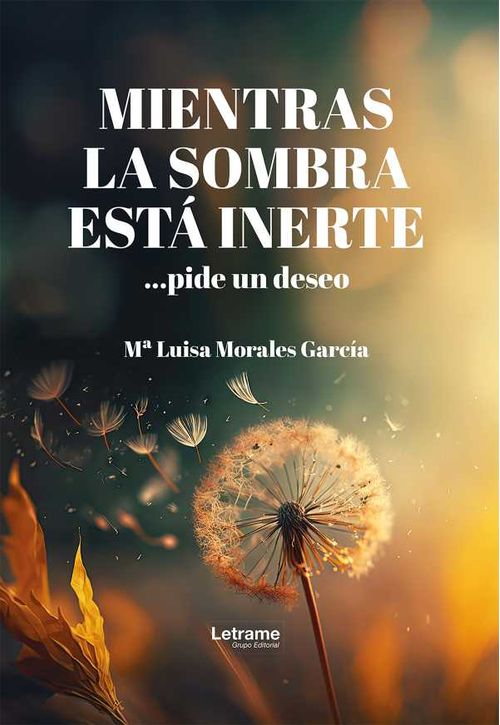 Mientras la sombra está inerte pide un deseo