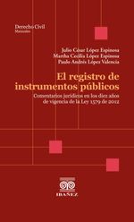 bw-el-registro-de-instrumentos-puacuteblicos-grupo-editorial-ibaez-4099995589207