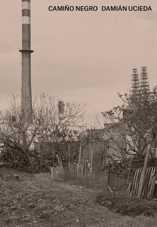 CAMINO NEGRO DAMIAN UCIEDA