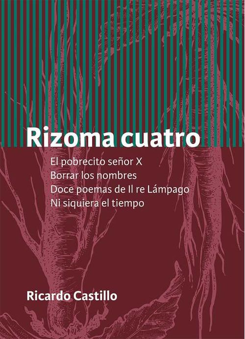 Rizoma cuatro