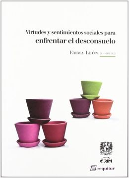 Virtudes y sentimientos sociales para enfrentar el desconsuelo