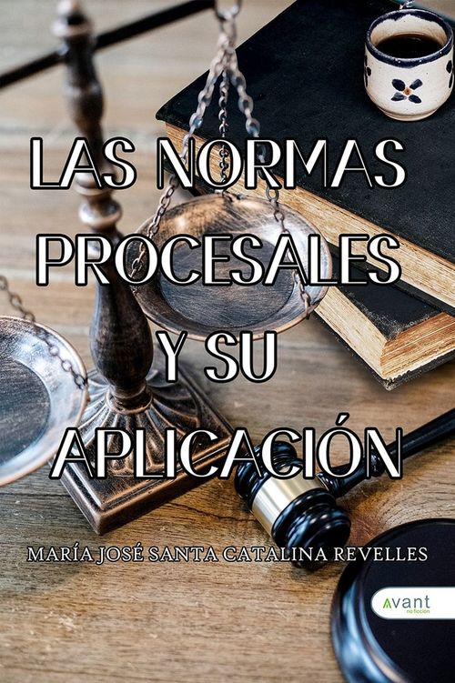 LAS NORMAS PROCESALES Y SU APLICACION