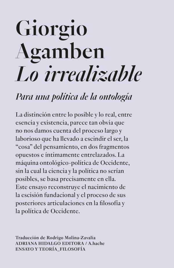 bw-lo-irrealizable-adriana-hidalgo-editora-9786316615206