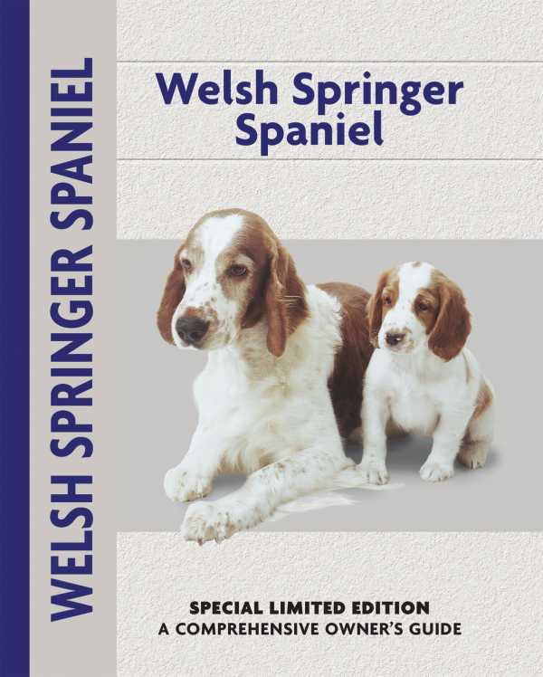 bw-welsh-springer-spaniel-companionhouse-books-9781621870227