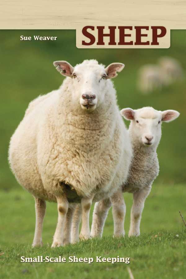 bw-sheep-companionhouse-books-9781935484820